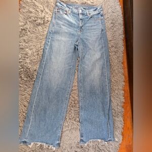 American Eagle Outfitters Light Blue Skinny Jeans